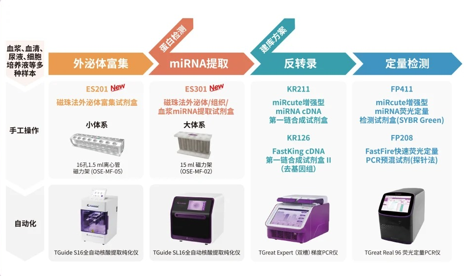 TIANGEN外泌体研究解决方案全景图
